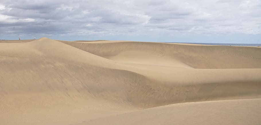 desert, sand, dune, wide, nomad, beach, hot, landscape, nature, sand dune