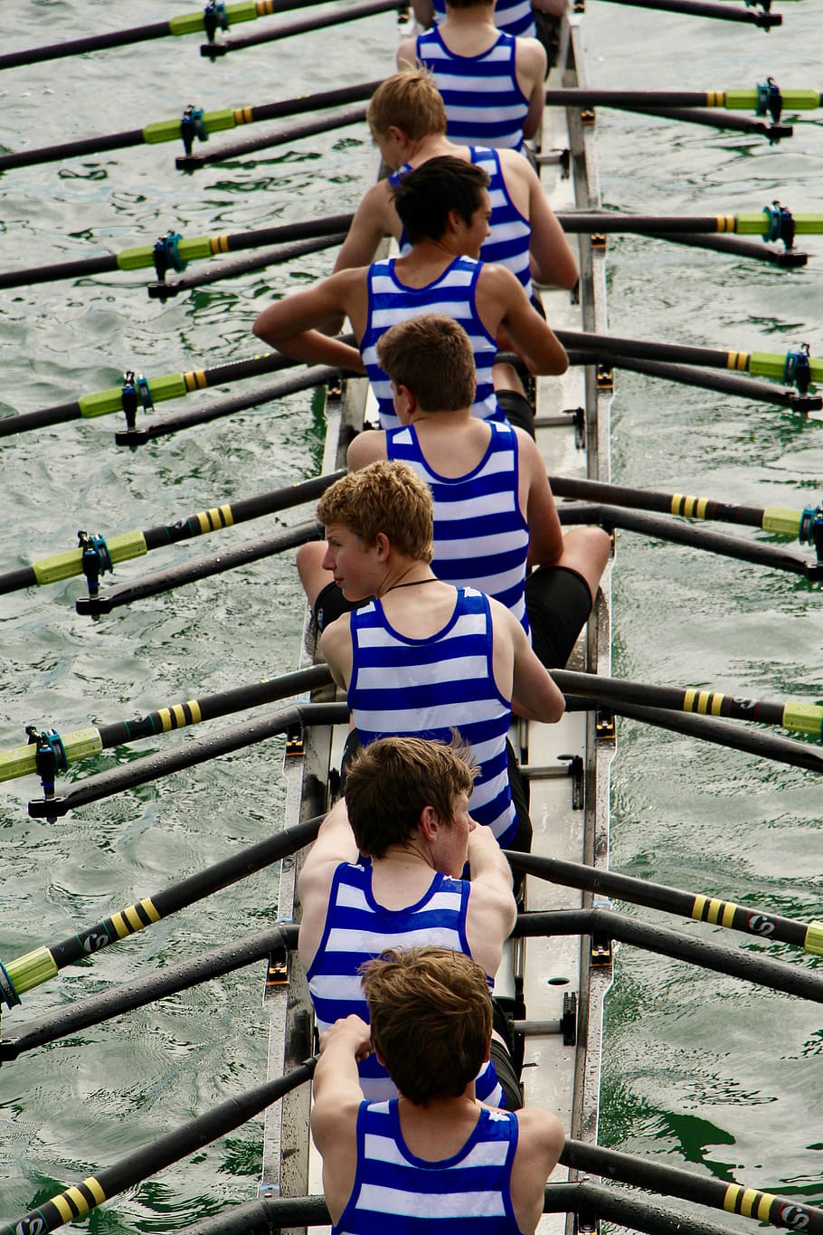 row, rowing, rowers, sport, school sport, blue and white, water, water sports, boat, team