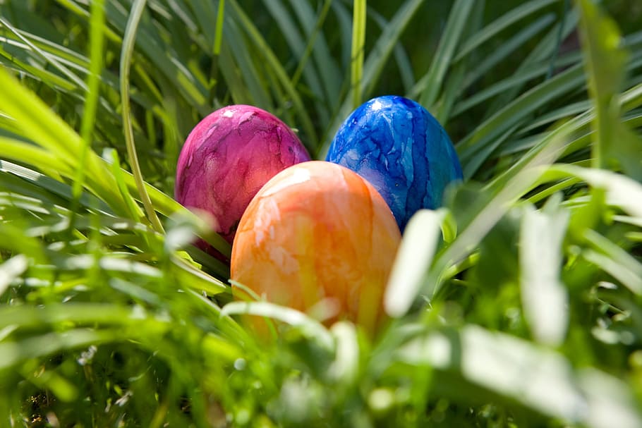 부활절, 계란, 화려한 달걀, 부활절 달걀, 행복한 부활절, 화려한, 색깔의, 닫기, 색깔의 계란, 색깔
