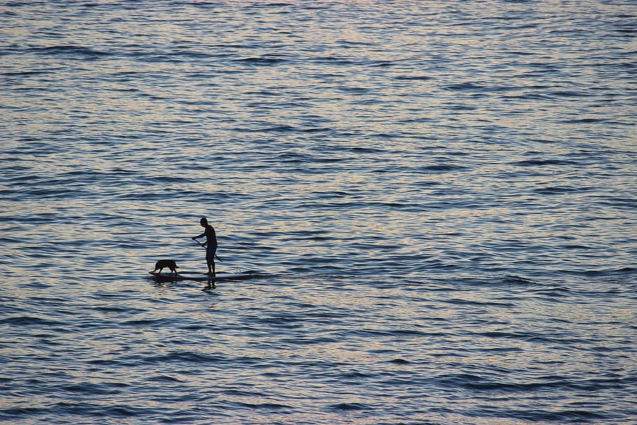 ocean, sunset, person, sport, fun, water, sea, sky, waves, paddle