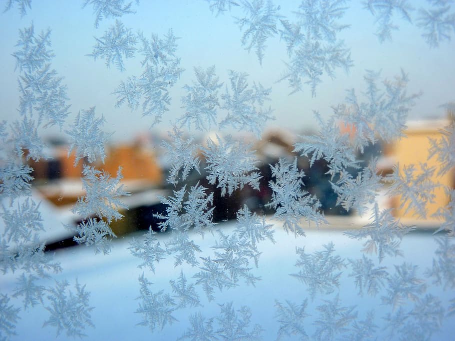 helada, invierno, cristales de hielo, frío, gel, nieve, navidad, copo de nieve, temporada, frío - Temperatura