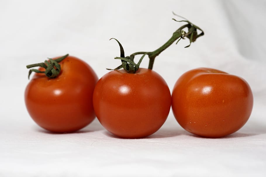 Tomates, Legumes, Comida, Jardim, vermelho, saudável, natureza, delicioso, comer, Mediterrâneo