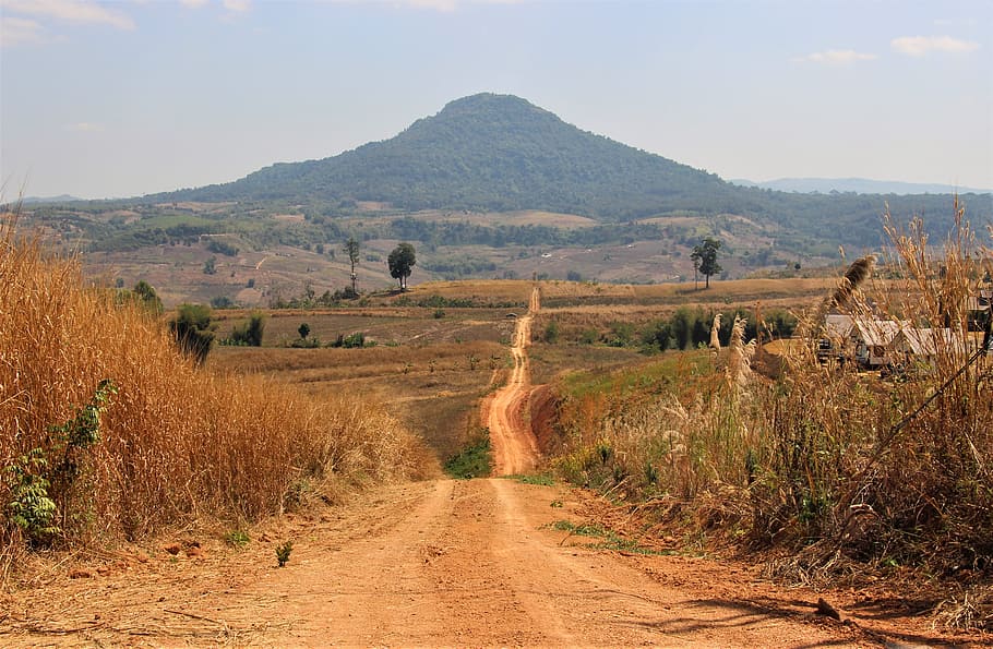 brown, soil pathway, dried, grass, phetchabun, thailand, mountains, road, dirt road, landscape