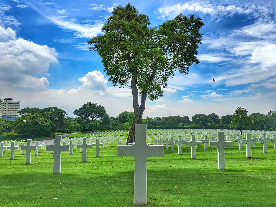 philippines, manila, lawn, cemetery, the american cemetery, blue sky, plant, grass, tree, cloud - sky