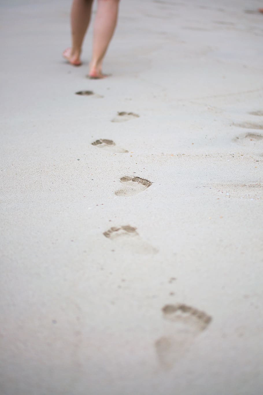 tilt shift lens photography, footprints, sand, footsteps, go, reprint, run, away, footprint, traces