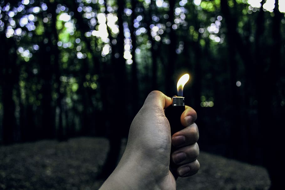 hand, forest, lighter, fire, nature, darkness, night, human hand, human body part, holding