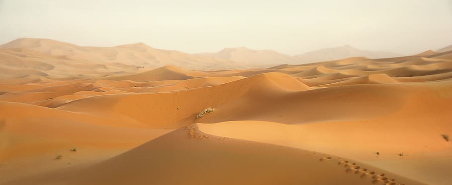 砂漠, 白, 空, 茶色, デザート, モロッコ, 砂丘, 砂, 風景, 自然