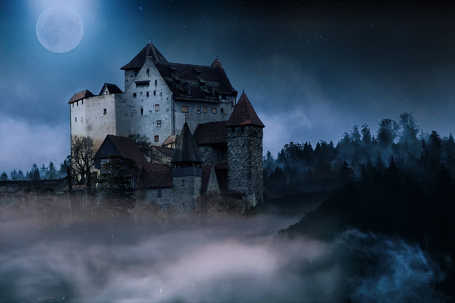castle, night, moon, sky, fog, fantasy, mysterious, trees, architecture, full moon