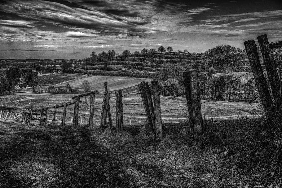 grayscale photo, fence, grass field, landscape, away, nature, sky, forest, barbed wire, wood