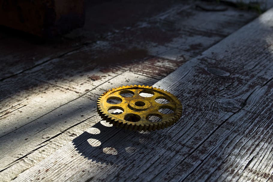 Gear, Metal, Rust, Tree, Old, Cogwheel, the lone, abandoned, one animal, day