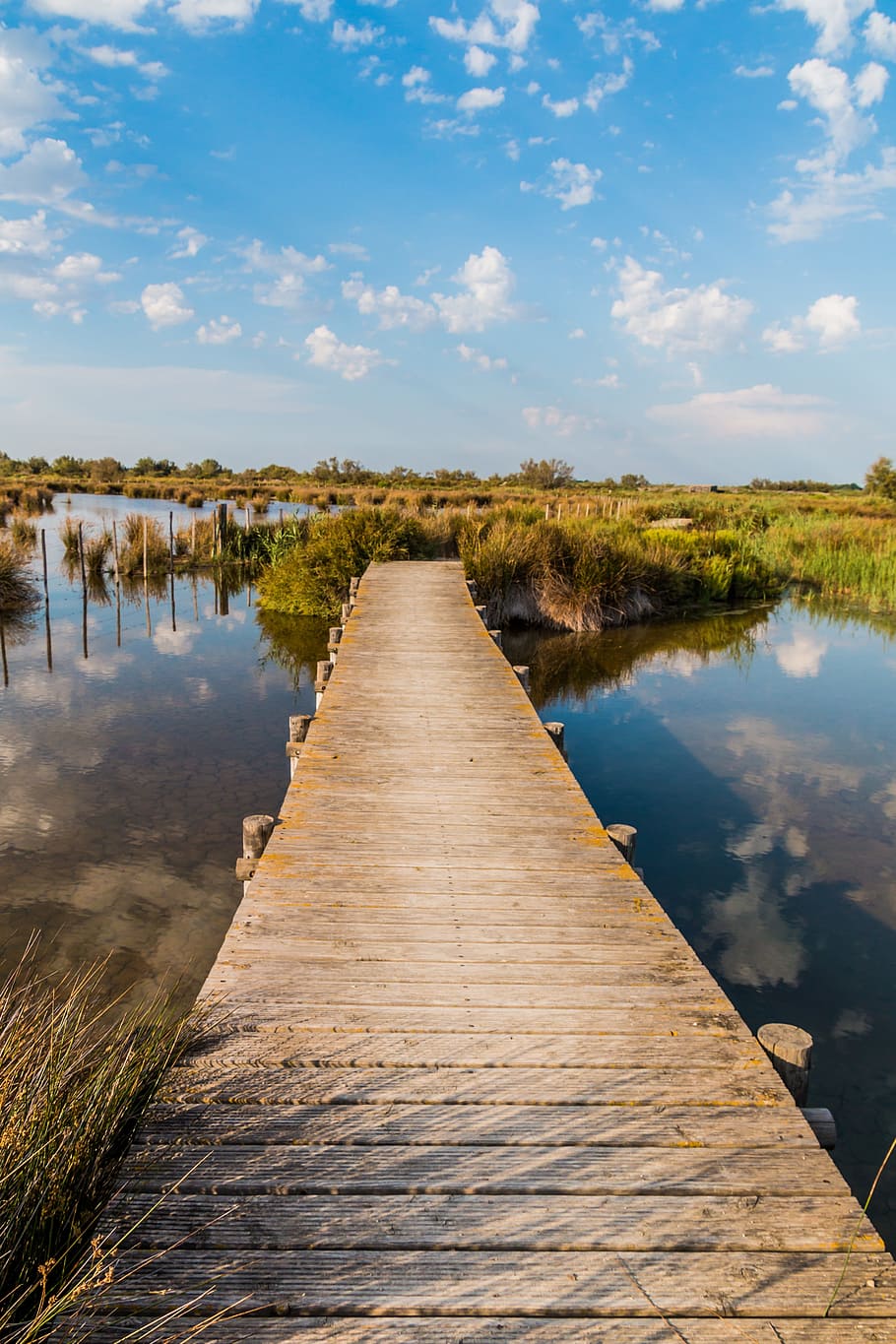 brown, wooden, dock, middle, lake, day, web, nature, camargue, water
