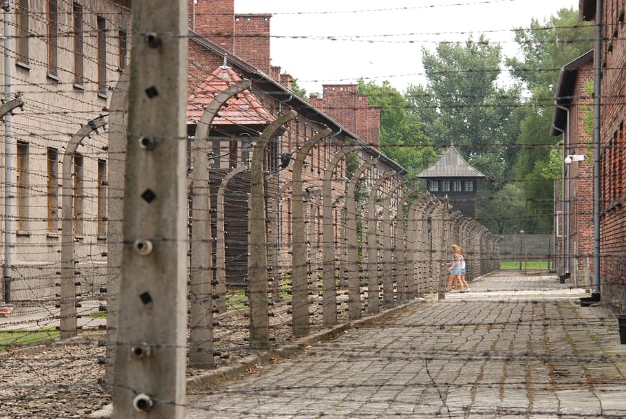 Polandia, auschwitz, perang, perang Dunia Kedua, kamp konsentrasi, tuntutan, sel, blok sel, Kawat berduri, tertangkap