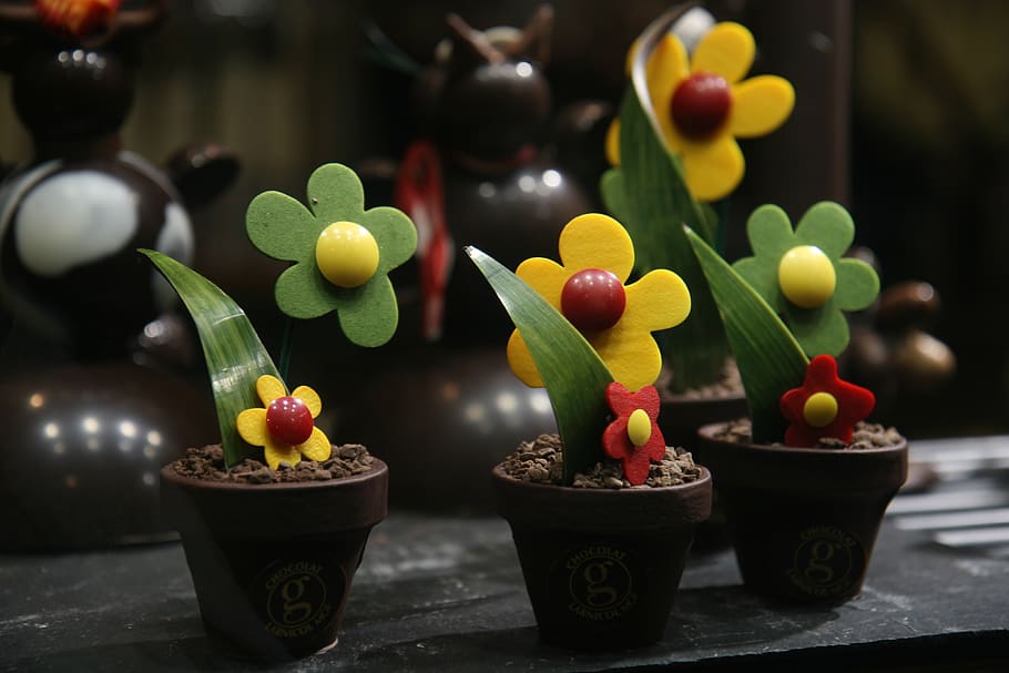 flower, sweet, delicious, style, pot, chocolate, food, food and drink, freshness, close-up