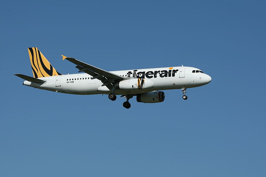 white, yellow, tigerair, commercial, airplane, aeroplane, airbus, aircraft, aviation, flight