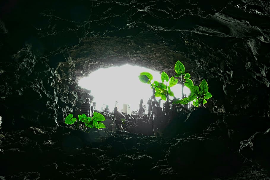 people inside cave, cave, lanzarote, dark, light, bill, green, plant, hole, output