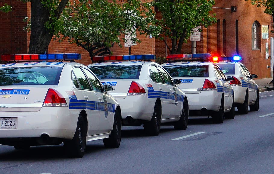 four, white, police cars, road, police, baltimore, police officer, law, criminal, crime