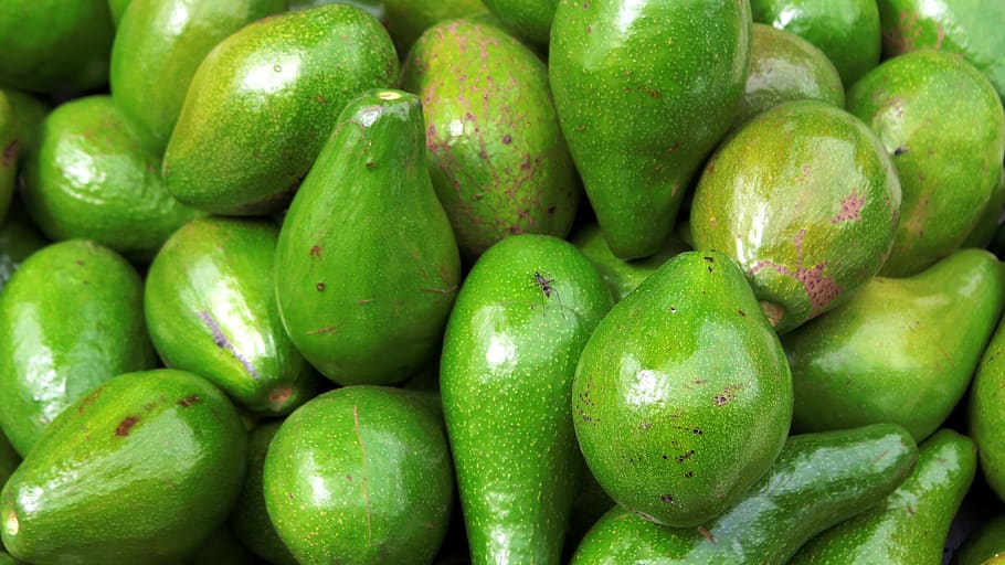 abacate, fruta, comida, natureza, fresco, verde, comida e bebida, alimentação saudável, cor verde, frescor