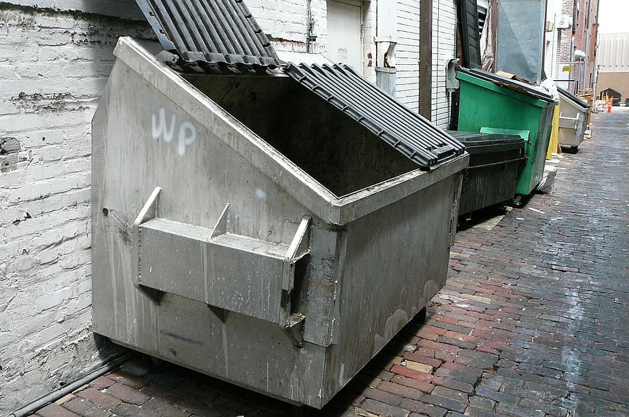 dumpster, trash, downtown, outside, open lid, garbage, rubbish, waste, environment, dump