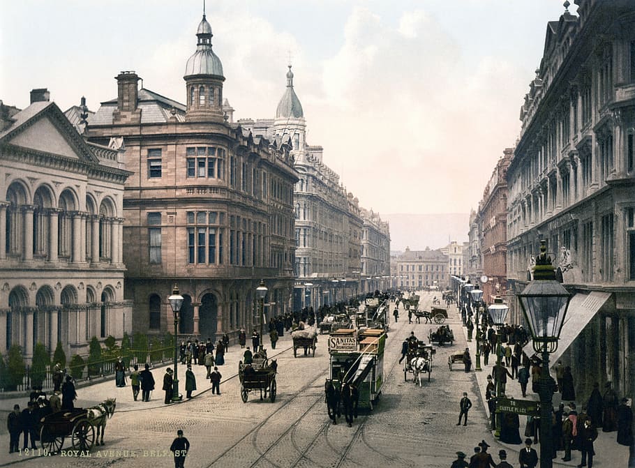 edificios de hormigón gris, belfast, irlanda, ciudad, avenida real, carretera, carruaje tirado por caballos, photochrom, 1900, arquitectura