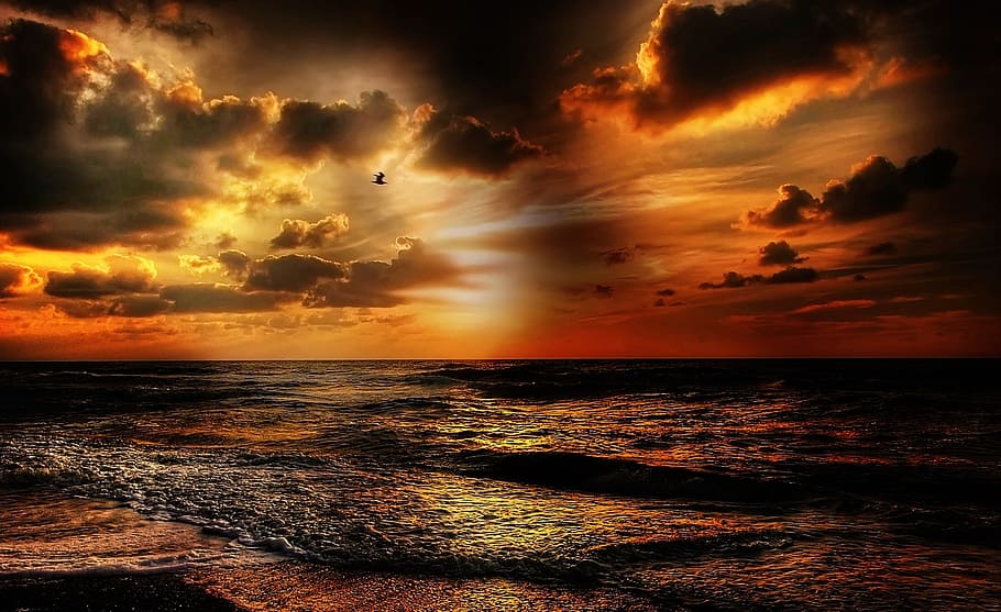 sea, golden, hour, beach, front, sunset, sun, denmark, summer, nature