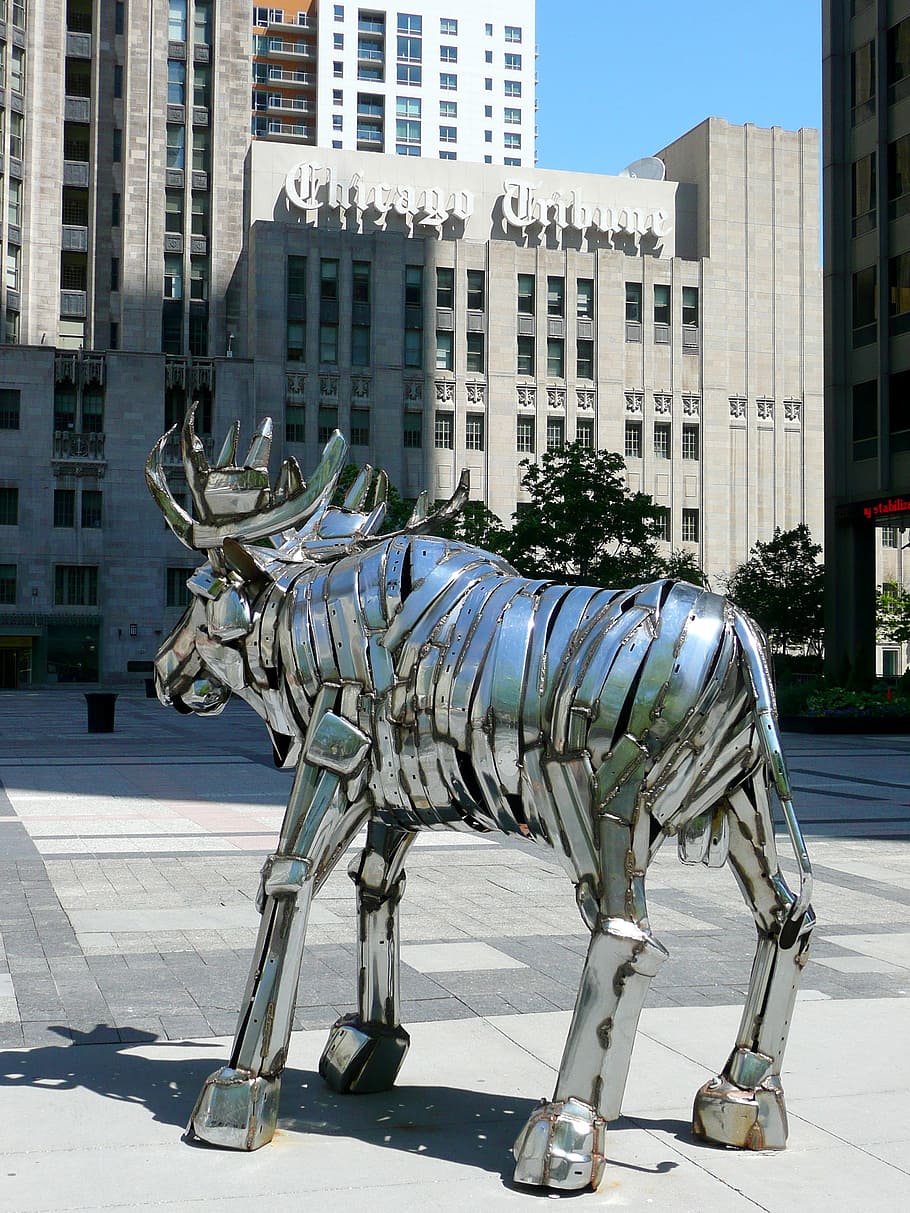 Metal, Moose, Chicago, Illinois, arte, Estados Unidos, ciudad, estructura construida, exterior del edificio, estatua