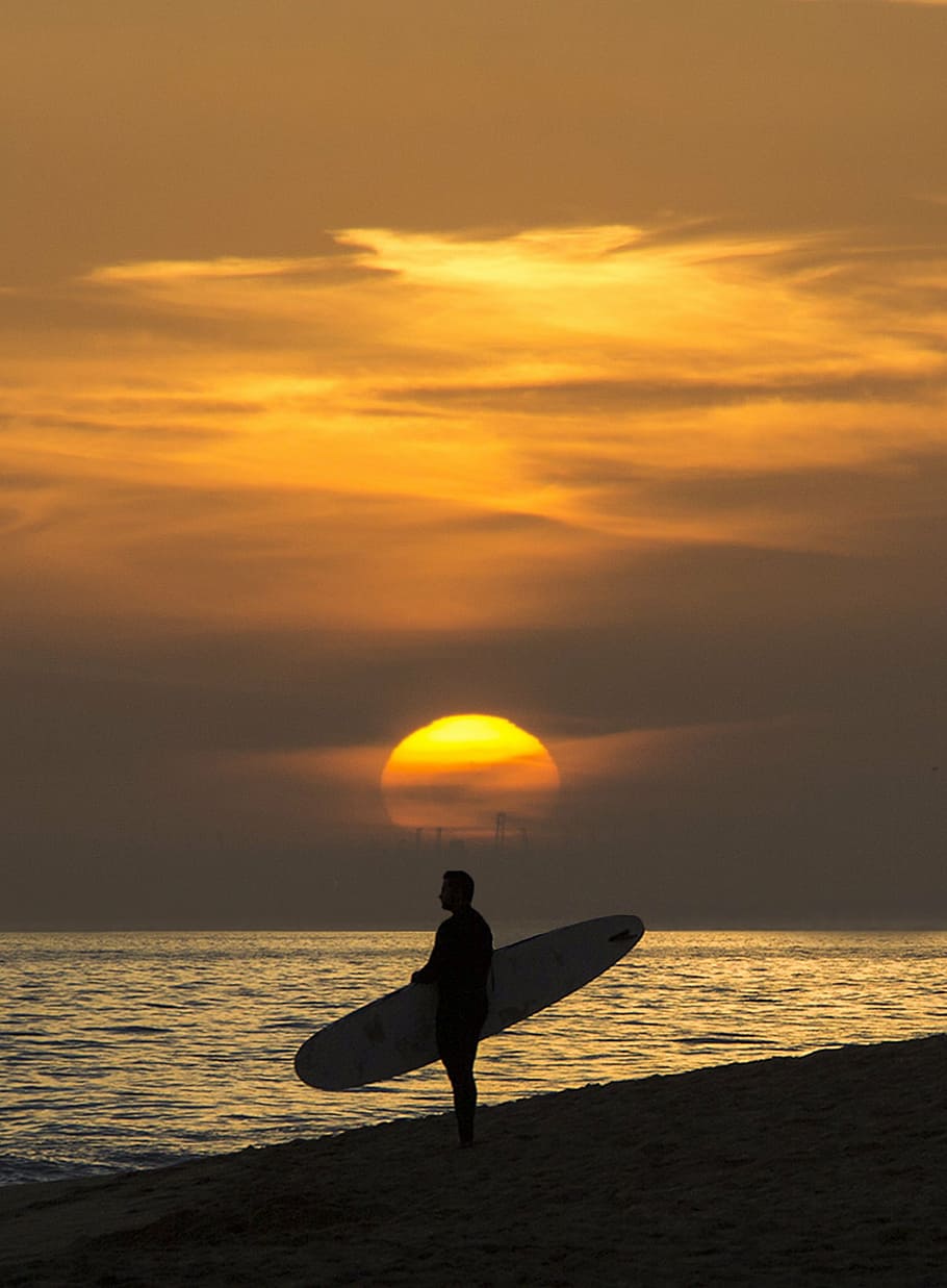 foto de silhueta, homem, em pé, beira mar, segurando, prancha de surf, dourado, hora, surfar, surfista