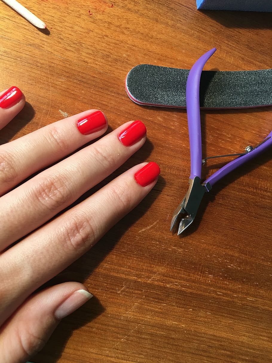 person, hand, purple, nail nipper, painting, manicure, beautician, hands, nails, the hand