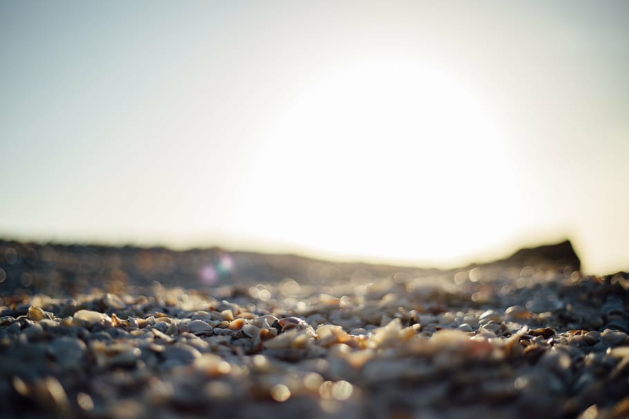 untitled, photography, pebbles, sunset, sunshine, beach, rocks, summer, garbage, dirty