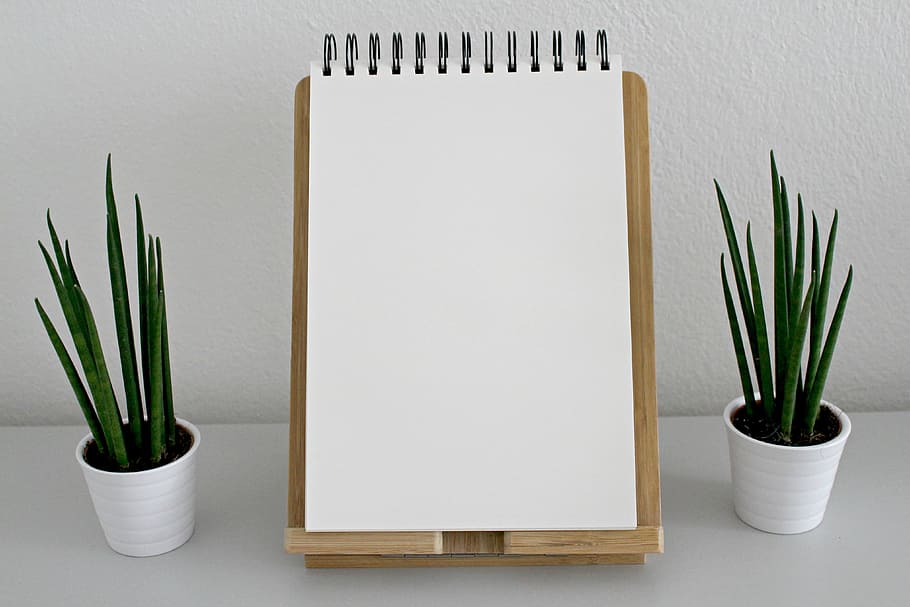 white, spiral notebook, stand, two, linear, leaf plants, brown, clipboard, green plants, notebook