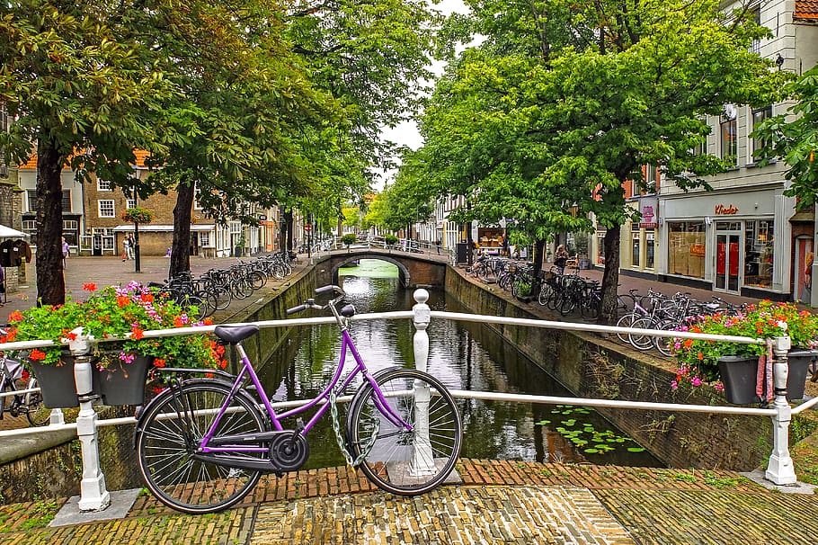 purple, bicycle, parked, bridge, white, metal handrail, daytime, canal, river, bike