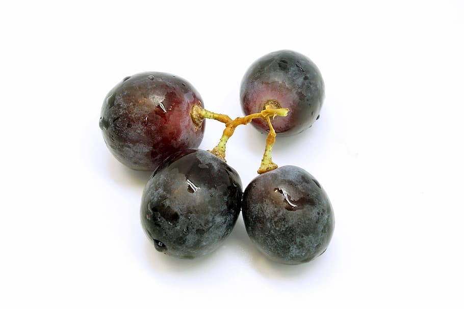 four, grapes, grape, fruit, table grapes, fruits, blue, healthy, food, blue grapes