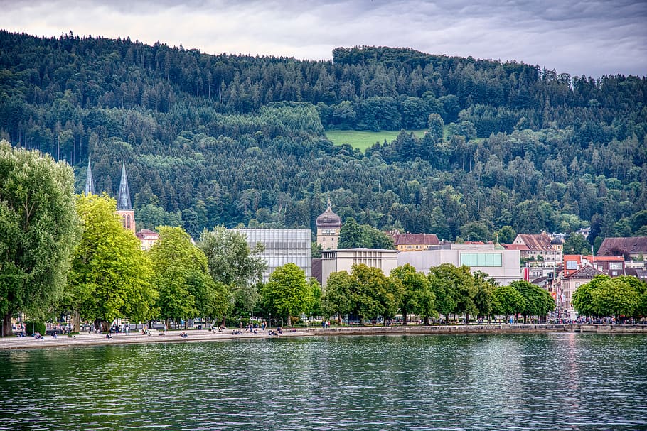 bregenz, lake constance, martin tower, lakeside, mole, tree, water, plant, architecture, built structure