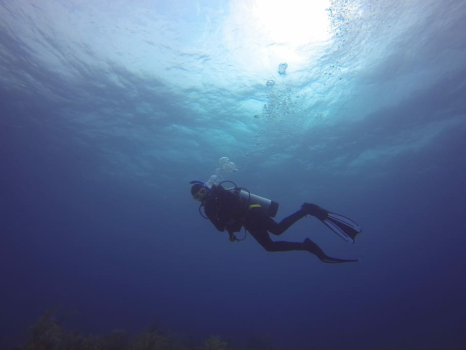 Mergulho, Pic, ryan, subaquático, submarino, mar, ninguém, água, embaixo da agua, aventura