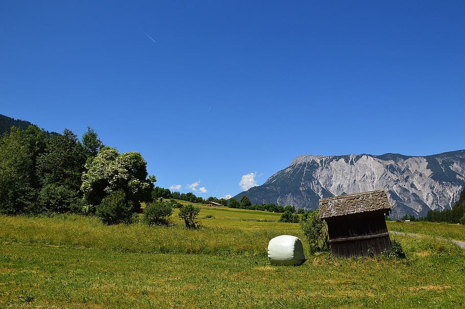 Sautens, Alm, Pasture, Alpine, summer, tyrol, mountain, hut, grass, mountain range
