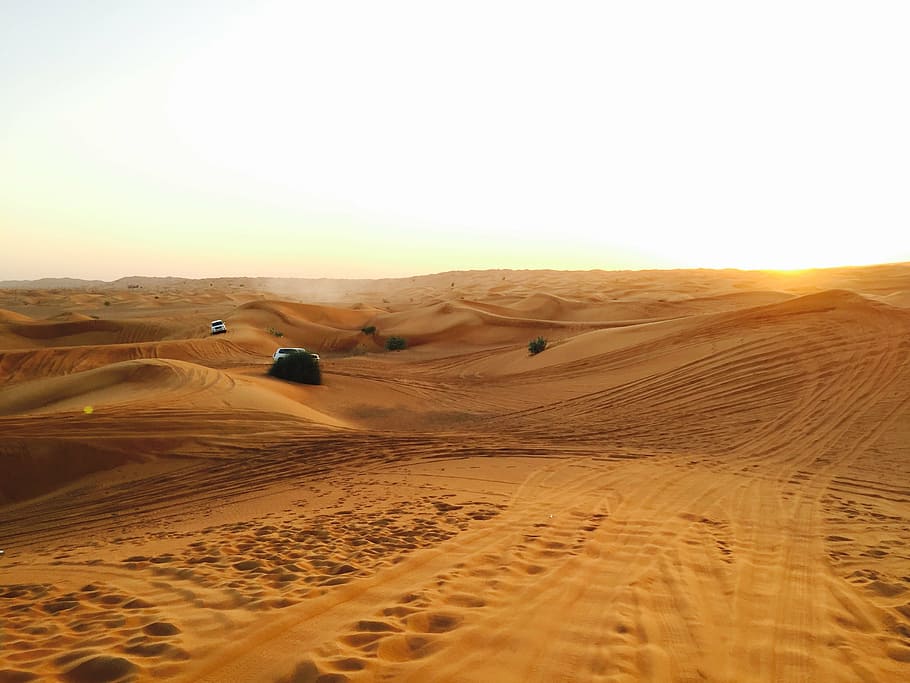 dubai, deserto, árabe, areia, arábia, duna de areia, natureza, sahara deserto, paisagem, seca