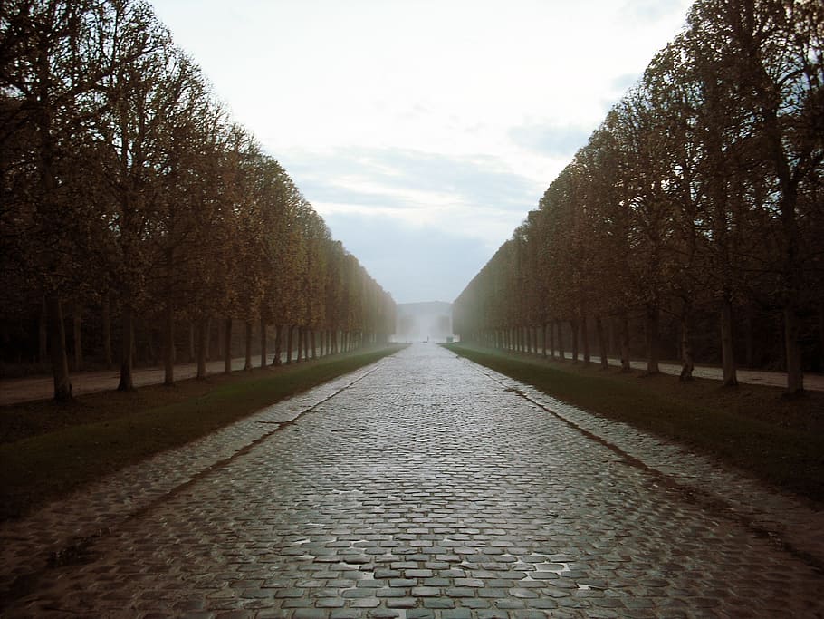 Versaille, Paris, Europeu, Árvores, Estrada, árvore, natureza, diminuindo Perspectiva, ponto de fuga, ao ar livre