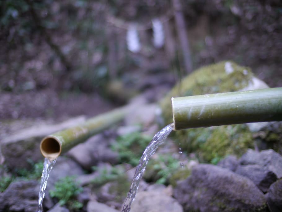 gray, pipe, water, Water, Bamboo, God, bamboo, pipe - Tube, nature, outdoors, flowing water