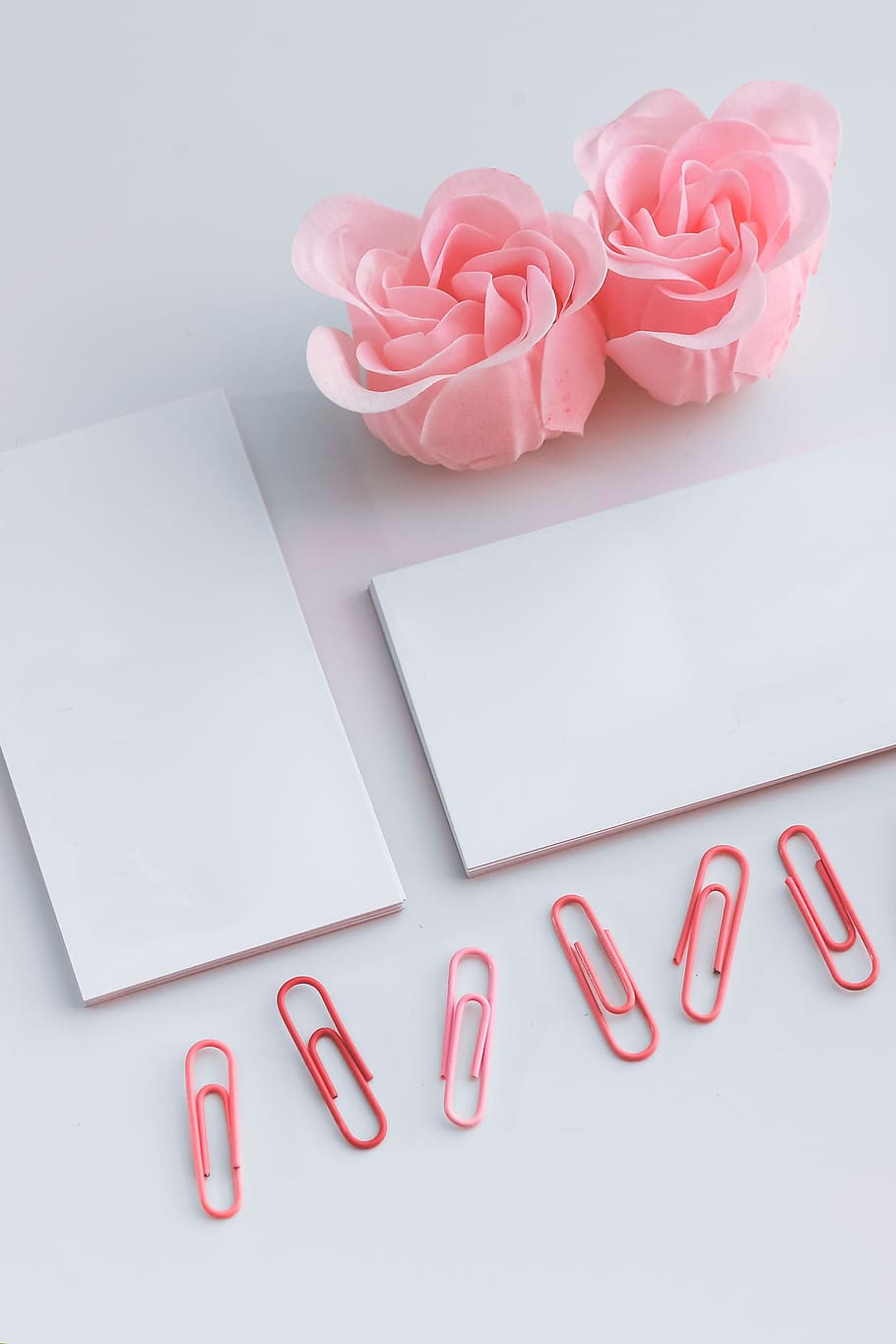 female, roses, minimal, copy space, empty, pink, femine, paper, business card, paper clip