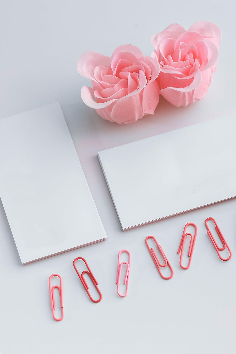 little, sheets, paper, pink, paper clips, pink paper, female, roses, minimal, copy space