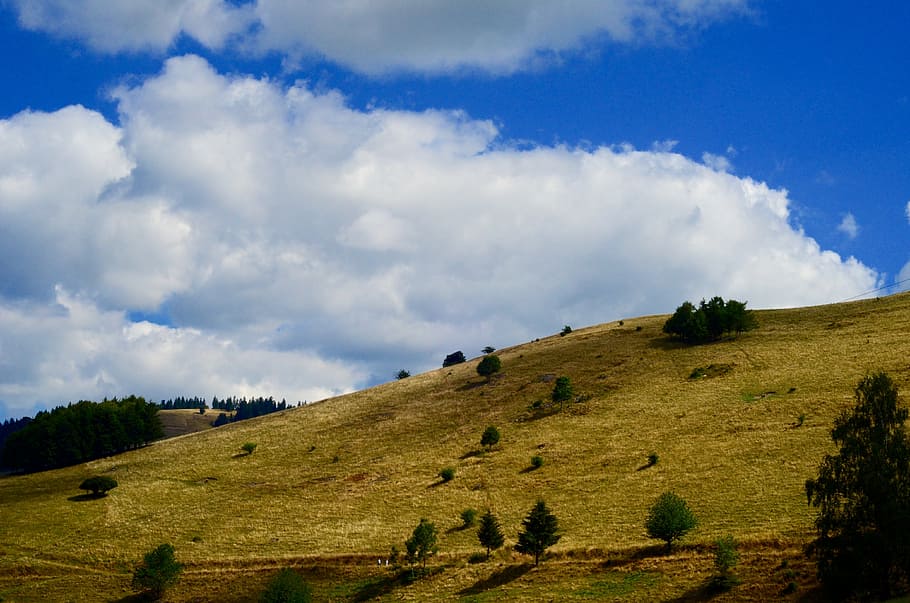 colina, hierba, cielo, paisaje, nube, escénico, campo, escena, rural, nube - cielo