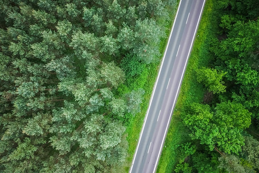 aéreo, vista, solitario, carretera, bosques, Vista aérea, Lonely Road, en el bosque, fotografía con drones, drones