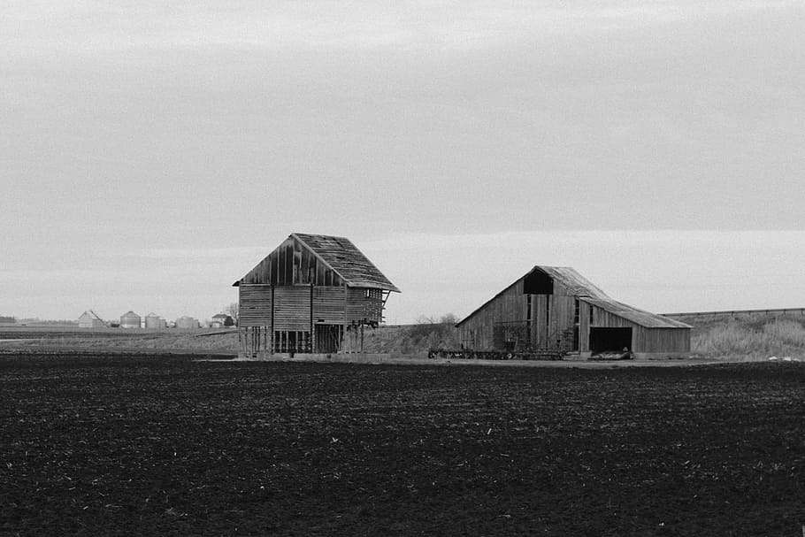 grayscale photography, houses, black, white, hut, house, rural, black and white, outdoor, field