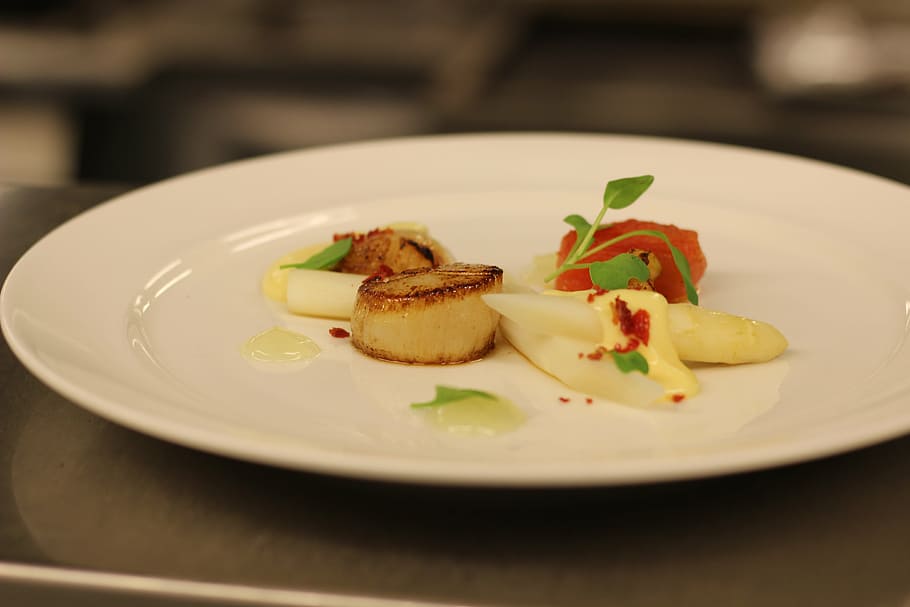 scallop, food, appetizer, finedining, plate, gourmet, meal, dinner, seafood, freshness