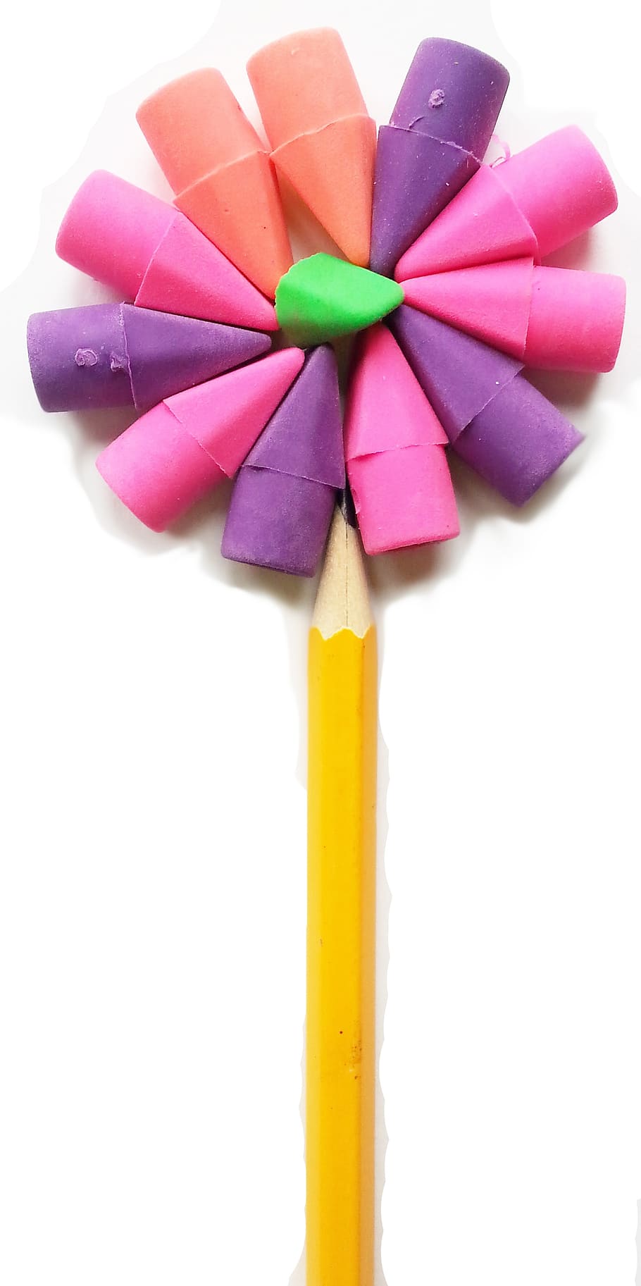 bright, isolated, color, pencil, erasers, school, flower, kids, children, happy