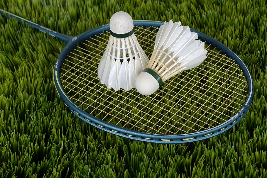 two, white, shuttlecocks, placed, blue, badminton racket, badminton, shuttle, sport, bat