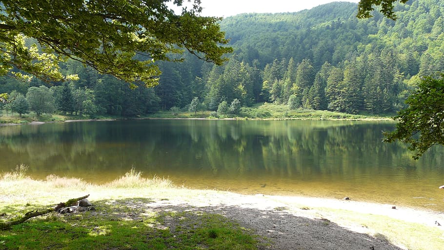 lake, vosges, mountains, water, tree, plant, beauty in nature, scenics - nature, tranquility, tranquil scene