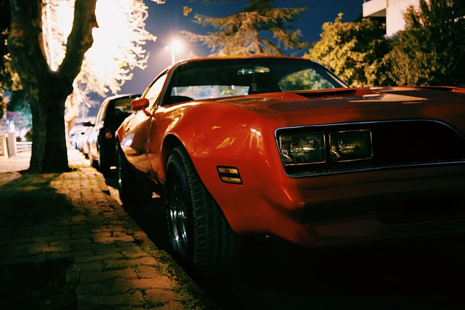 orange, sports coupe, road, tree, nighttime, red, sports, coupe, parked, near