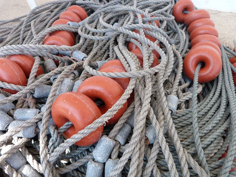 Rede de pesca, Porto, Redes, redes de pesca, pesca, rede, fischer, corda, força, embarcação náutica