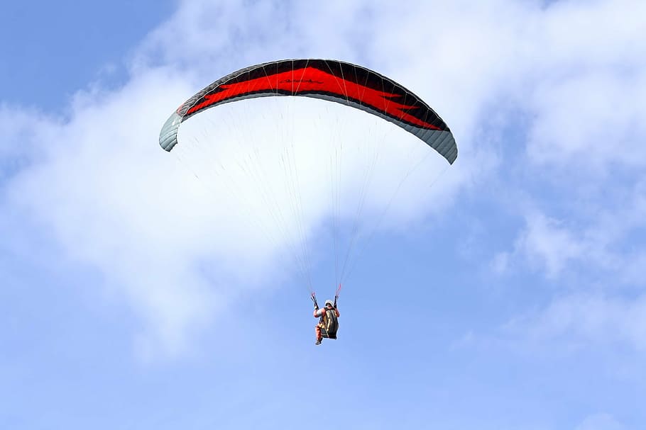 paragliding, skydiving, parachute, glide, fly, blue, pilot, sports and fitness, summer, dom