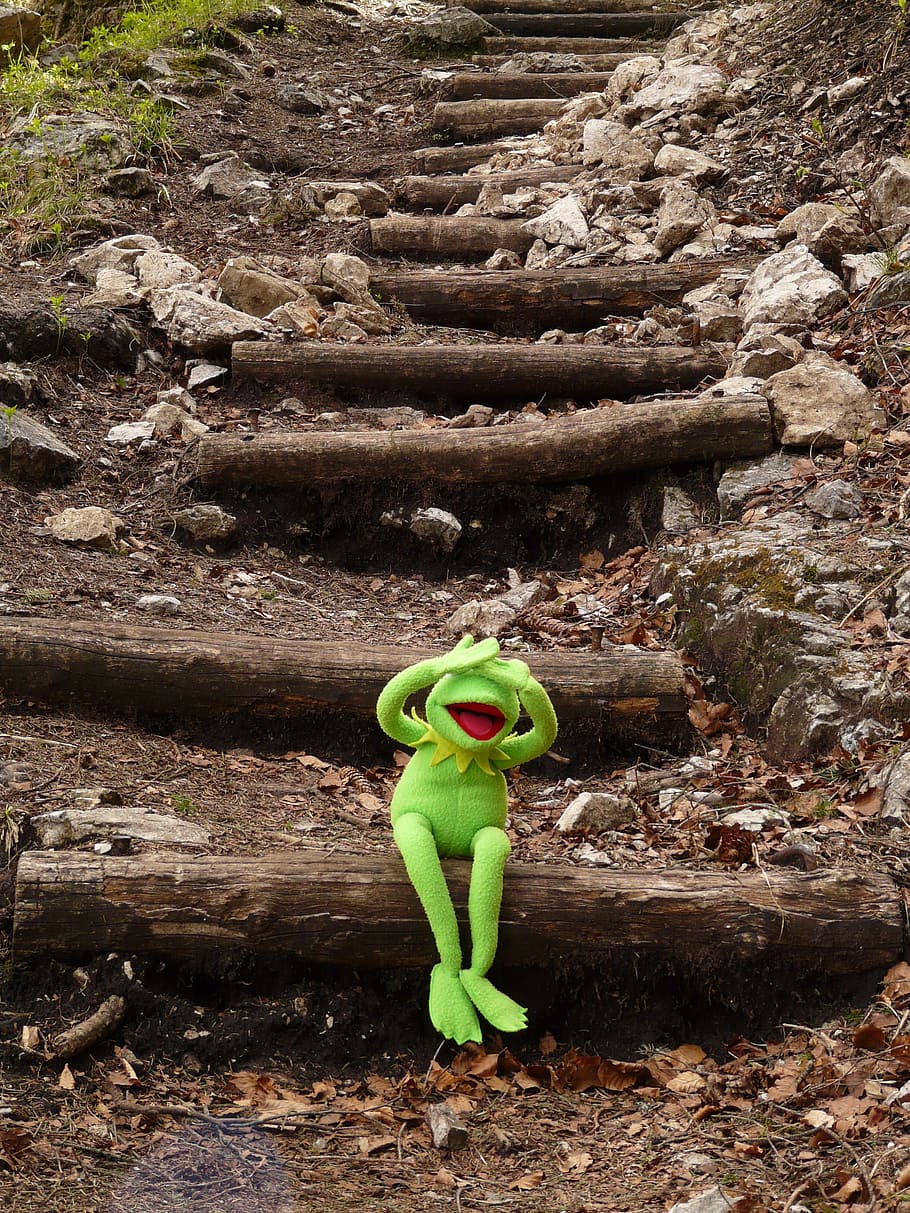 covered, eye, brown, log, Kermit, Frog, Sit, Stairs, gradually, blind